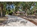 Long paved driveway leading up to this home with shade trees and meticulous landscaping at 4916 Hidden Oaks Trl, Sarasota, FL 34232