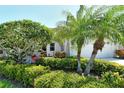 Beautifully landscaped front yard with lush green bushes, palm trees, and a charming entry area at 3870 Alamanda Dr, Sarasota, FL 34238