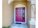 Elegant, covered front entryway with a deep red door and modern hardware details at 2819 Conch Hollow Dr, Brandon, FL 33511