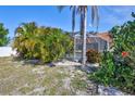 Lush backyard showcasing mature tropical plants and a screened-in pool area at 6415 39Th W Ave, Bradenton, FL 34209