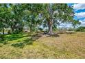 Expansive backyard with mature trees, offering plenty of space for outdoor activities at 314 Pembroke Ln # 189, Venice, FL 34293