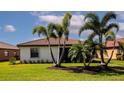 Lush backyard with well-manicured lawn and mature palm trees for a private retreat at 6524 Willowshire Way, Bradenton, FL 34212