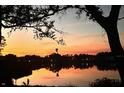Scenic sunset view overlooking a tranquil lake, framed by silhouetted trees at 308 Timber Lake Dr, Bradenton, FL 34210