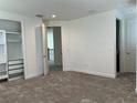 Spacious, carpeted bedroom with a closet featuring drawers and shelving for ample storage space at 3375 Juniper Springs St, Wesley Chapel, FL 33543