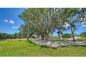 Scenic landscape of mature trees with Spanish moss and a neatly maintained green lawn under a blue sky at 3572 Ferndell, Sarasota, FL 34235