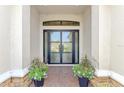 Elegant front entry featuring stylish double doors and decorative planters at 5437 Manchini St, Sarasota, FL 34238