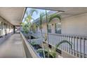 Exterior hallway features open-air design with beautiful landscaping and natural light at 3350 S Osprey Ave # 211A, Sarasota, FL 34239