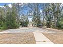 An expansive concrete patio features outdoor seating and a grill, ideal for entertaining by the water at 891 Palmetto Ne Dr, Port Charlotte, FL 33952
