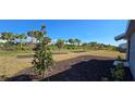 Expansive backyard with fresh mulch, young trees and verdant grass leading to perimeter landscaping at 9176 Tequila Sunrise Dr, Sarasota, FL 34241