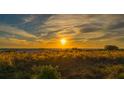 Beautiful sunset over a beach with golden grass in the foreground at 777 Beach Rd # 1B, Sarasota, FL 34242