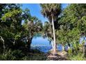 Scenic lake view framed by lush trees and foliage, creating a tranquil and picturesque natural setting at 2397 Vaccaro Dr, Sarasota, FL 34231
