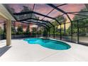 Screened-in pool and spa offer a private oasis for relaxation and entertainment, with lush landscaping in the background at 12838 Daisy Pl, Bradenton, FL 34212