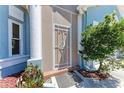 Close up of front door with decorative sailboat door and lush landscaping at 6106 New Paris Way, Ellenton, FL 34222