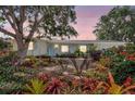 Charming home with lush landscaping, colorful bromeliads, and a mature tree framing the property at sunset at 3036 Rose St, Sarasota, FL 34239