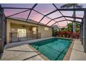 Backyard pool with screened-in enclosure and covered patio at 14315 Tree Swallow Way, Lakewood Ranch, FL 34202