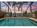 Enclosed pool with views of the lake and palm trees at 14315 Tree Swallow Way, Lakewood Ranch, FL 34202