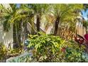 Landscaped exterior with palm trees and a pathway leading to the building entrance at 672 White Pine Tree Rd # 57, Venice, FL 34285
