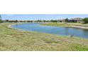 Scenic view of a tranquil pond within the community, surrounded by lush greenery at 12640 Felice Dr, Venice, FL 34293