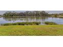 Serene view of the peaceful lake with manicured green grass at 6520 38Th E Ln, Sarasota, FL 34243