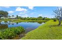 Lush backyard featuring a serene pond, perfect for nature lovers and outdoor enjoyment at 4180 Via Mirada, Sarasota, FL 34238