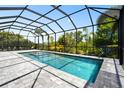 A screened in backyard pool with a spa is the perfect place to unwind at 8229 Grande Shores Dr, Sarasota, FL 34240