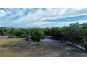 Aerial view of the property showcasing the home, large yard, and surrounding trees at 15308 Fruitville Rd, Sarasota, FL 34240