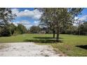 Large grassy yard with scattered trees under a blue sky, perfect for outdoor activities at 15308 Fruitville Rd, Sarasota, FL 34240