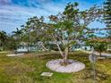 Well-maintained front yard featuring a mature tree surrounded by decorative stones, complementing the light blue home at 1722 Hazelwood St, Sarasota, FL 34231