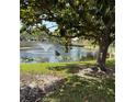 A peaceful pond features a swing under a tree and a water fountain at 2808 60Th W Ave # 1924, Bradenton, FL 34207