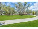 Expansive green lawn with mature trees leading to the home and separate garage at 3021 Leila Estelle Dr, Plant City, FL 33565