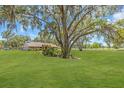 Spacious front yard with a mature tree providing shade and curb appeal at 3021 Leila Estelle Dr, Plant City, FL 33565