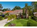 Beautiful home with a lush green lawn and mature palm trees at 4435 Beauchamp Ct, Sarasota, FL 34243