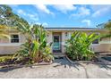 Home's front entrance surrounded by vibrant tropical landscaping, creating a welcoming approach at 7508 9Th N Ave, St Petersburg, FL 33710