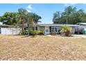 Charming home with palm trees, well-kept landscaping, and a quaint front walkway at 10827 Village Green Ave, Seminole, FL 33772