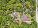 Aerial view of the property featuring a pool, wooded surroundings, and ample outdoor space at 18026 Nutcracker Rd, Weeki Wachee, FL 34614