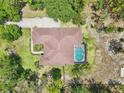 Aerial view showcases a pool and patio set within a private, tree-lined backyard at 18026 Nutcracker Rd, Weeki Wachee, FL 34614