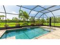 Screened in pool with a view of the landscaped backyard and blue skies above at 2240 Crystal Lake Trl, Bradenton, FL 34211