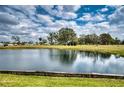 Enjoy this beautiful pond view with mature trees and lush greenery in a tranquil setting at 4102 Lakewood Ave, Bradenton, FL 34208