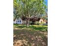 Charming home exterior featuring mature shade trees and a large lawn at 6265 Viola Ln, New Port Richey, FL 34653