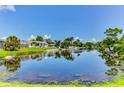 Picturesque waterfront property with lush greenery and homes reflected in the serene water at 7719 9Th Avenue Nw Dr, Bradenton, FL 34209