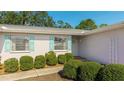 Close up of entrance, featuring gray siding, blue shutters and manicured, green shrubbery at 5706 10Th Avenue Dr W, Bradenton, FL 34209