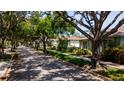 Quiet tree-lined street showcases homes with mature landscaping at 553 Meadow Sweet Cir, Osprey, FL 34229