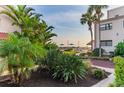 Lush tropical landscaping with palm trees and green plants create a serene outdoor atmosphere at 4621 Gulf Of Mexico Dr # 2F, Longboat Key, FL 34228
