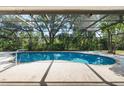 Screened-in pool with clear blue water surrounded by lush tropical greenery at 13511 4Th Plz E, Bradenton, FL 34212