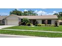 Well-maintained single-story home boasts a manicured lawn, mature landscaping, and an attached two-car garage at 1612 Shady Leaf Dr, Valrico, FL 33596
