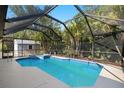 Backyard pool featuring screened enclosure, an integrated spa and surrounding tropical trees at 1399 Shields St, Punta Gorda, FL 33980