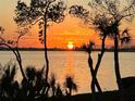 Picturesque sunset over tranquil waters framed by silhouettes of trees and palms, creating a serene ambiance at 76 Tidy Island Blvd, Bradenton, FL 34210