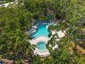 Aerial view of a community pool and hot tub surrounded by lush landscaping at 860 Virginia St # 304, Dunedin, FL 34698