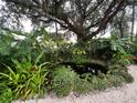 Lush backyard pond surrounded by tropical landscaping with lily pads floating on the calm water at 4695 86Th N Ave, Pinellas Park, FL 33782