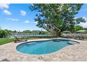Beautiful kidney-shaped pool and lounge area overlooking the lake, shaded by a mature tree at 4708 26Th W Ave, Bradenton, FL 34209